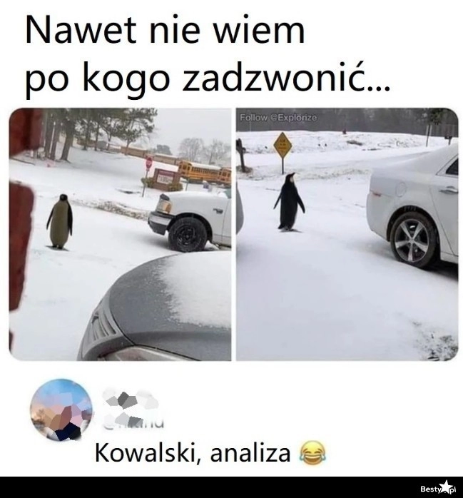 
    Na pewno są tu jego kumple 