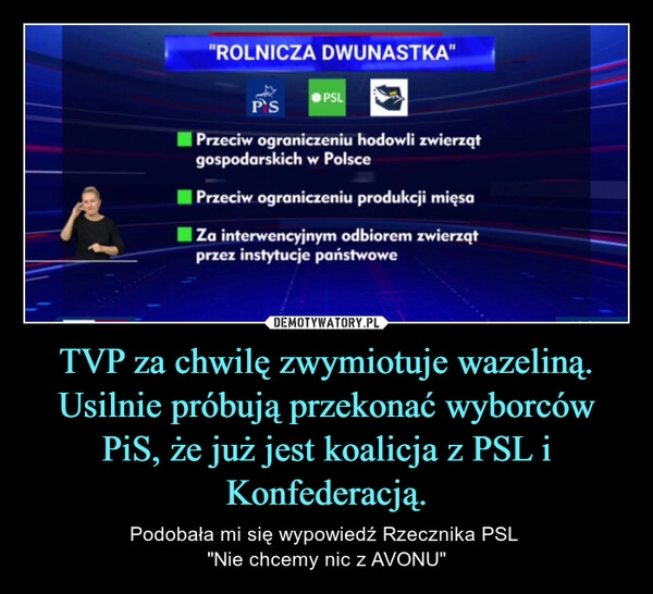 
    TVP za chwilę zwymiotuje wazeliną. Usilnie próbują przekonać wyborców PiS, że już jest koalicja z PSL i Konfederacją.