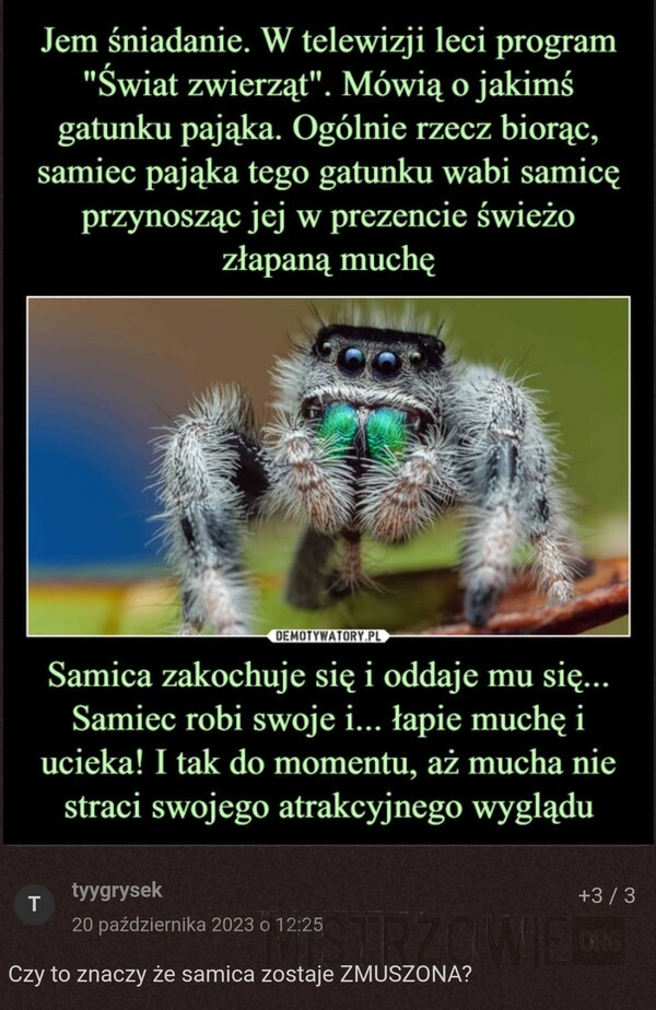 
    Świat zwierząt