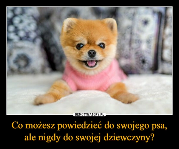 
    Co możesz powiedzieć do swojego psa, ale nigdy do swojej dziewczyny?