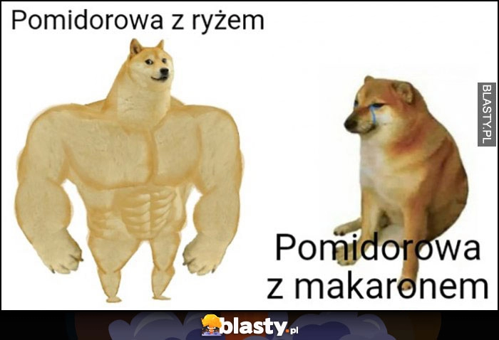 
    Pies pieseł doge pomidorowa z ryżem vs pomidorowa z makaronem