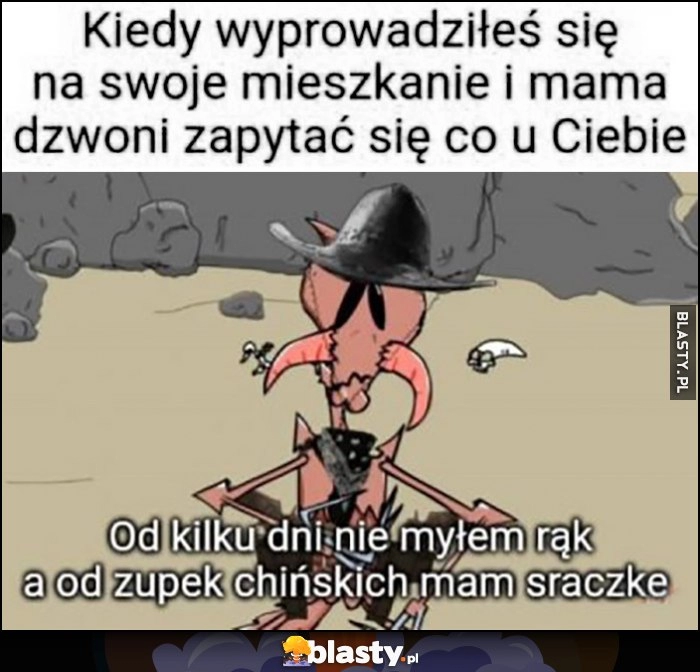 
    Kiedy wyprowadziłeś sie na swoje mieszkanie i mama dzwoni zapytać się co u Ciebie, od kilku dni nie myłem rąk a od zupek chińskich mam sraczkę Kapitan Bomba