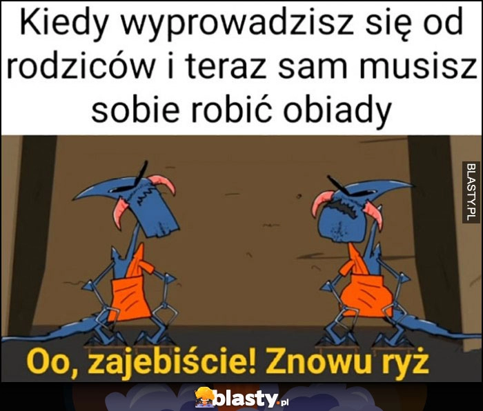 
    Kiedy wyprowadzisz się od rodziców i teraz sam musisz sobie robić obiady, o zarąbiście znowu ryż Kapitan Bomba