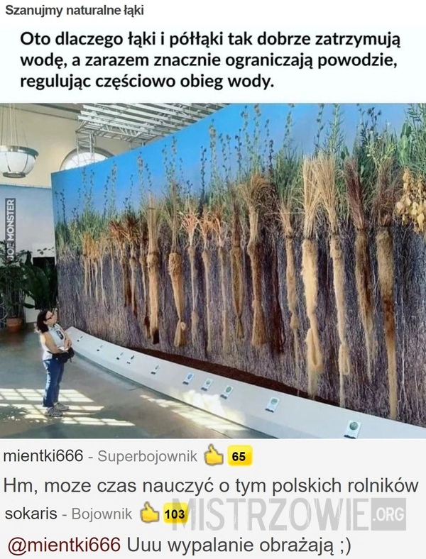 
    Szanujmy naturalne łąki