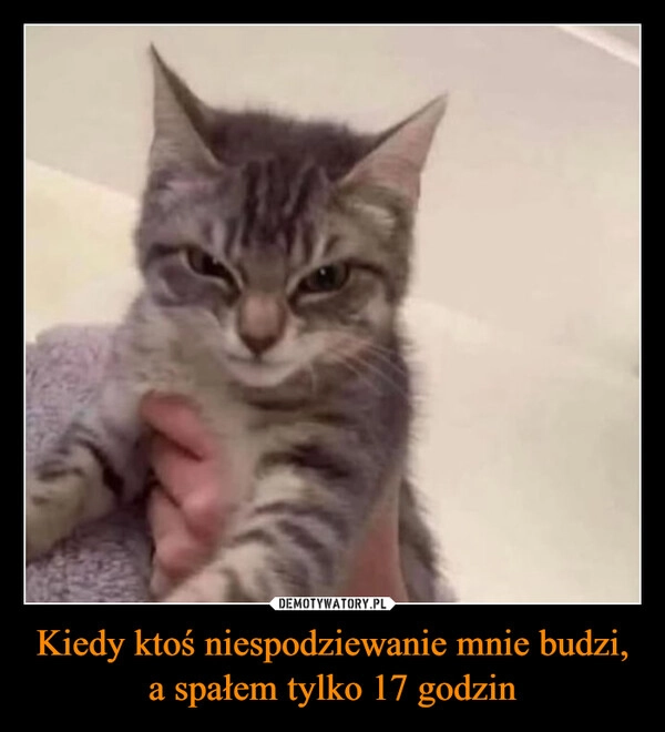 
    Kiedy ktoś niespodziewanie mnie budzi, a spałem tylko 17 godzin