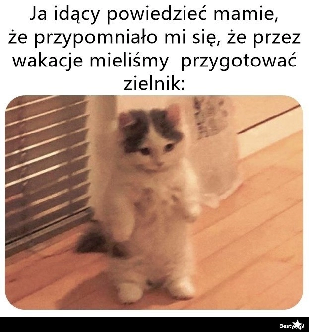 
    W samą porę! 