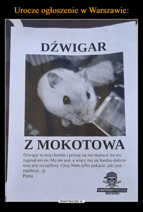 
    Urocze ogłoszenie w Warszawie: