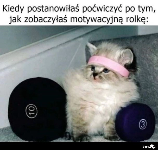 
    Motywacyjna rolka 