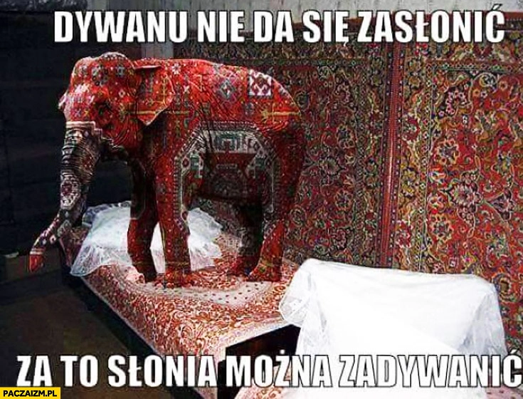
    Dywanu nie da się zasłonić za to słonia można zadywanić