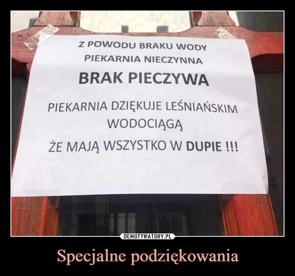 
    Specjalne podziękowania