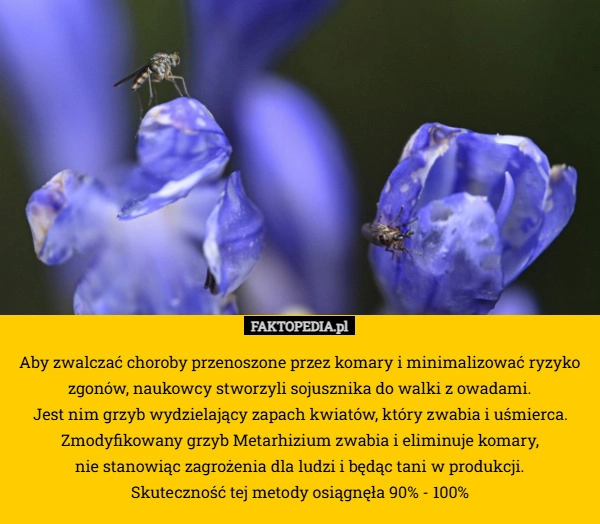 
    Aby zwalczać choroby przenoszone przez komary i minimalizować ryzyko zgonów,