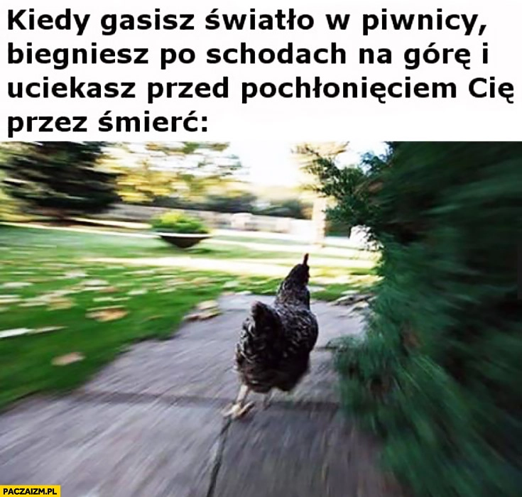 
    Kiedy gasisz światło w piwnicy biegniesz po schodach na górę uciekasz przed pochłonięciem Cię przez śmierć kura kogut