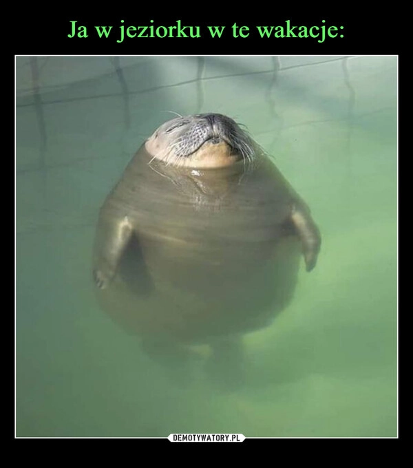 
    Ja w jeziorku w te wakacje: