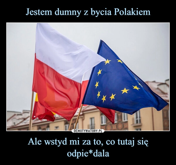 
    Jestem dumny z bycia Polakiem Ale wstyd mi za to, co tutaj się odpie*dala