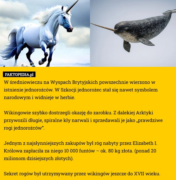 
    W średniowieczu na Wyspach Brytyjskich powszechnie wierzono w istnienie