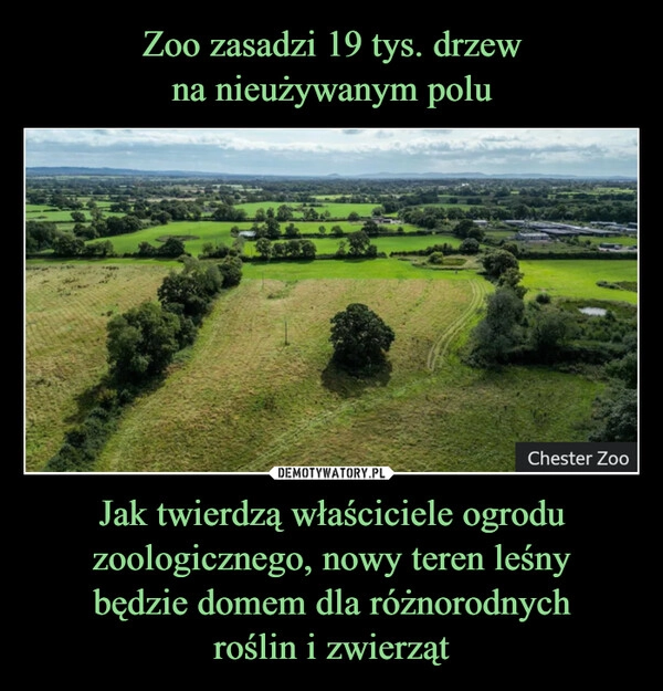 
    Zoo zasadzi 19 tys. drzew
na nieużywanym polu Jak twierdzą właściciele ogrodu zoologicznego, nowy teren leśny
będzie domem dla różnorodnych
roślin i zwierząt