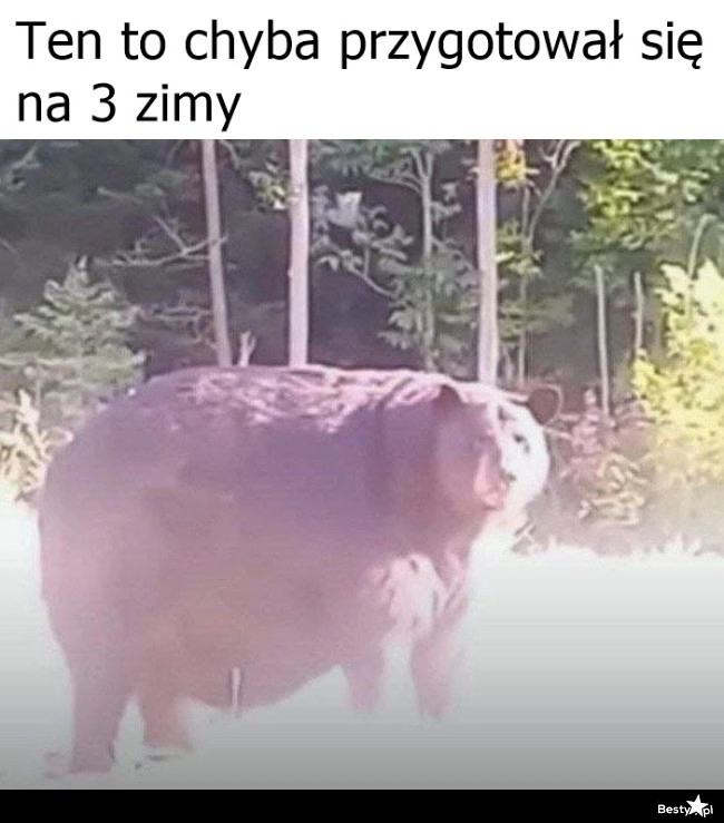 
    Solidnie przygotowany na zimę 