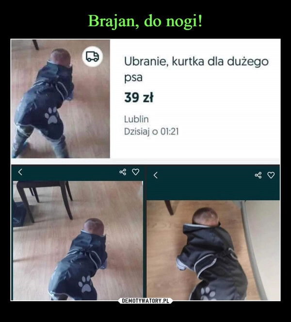 
    Brajan, do nogi!