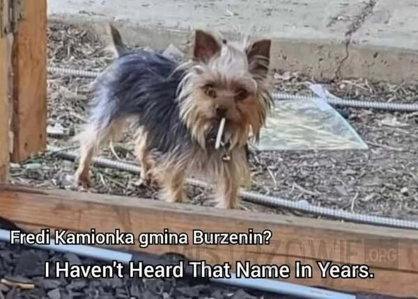 
    Wiemy że to ty