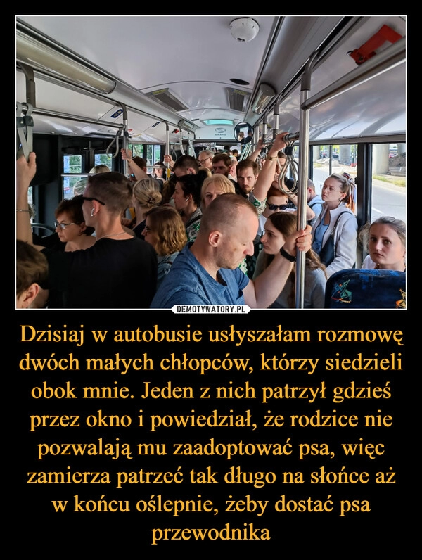 
    Dzisiaj w autobusie usłyszałam rozmowę dwóch małych chłopców, którzy siedzieli obok mnie. Jeden z nich patrzył gdzieś przez okno i powiedział, że rodzice nie pozwalają mu zaadoptować psa, więc zamierza patrzeć tak długo na słońce aż w końcu oślepnie, żeby dostać psa przewodnika