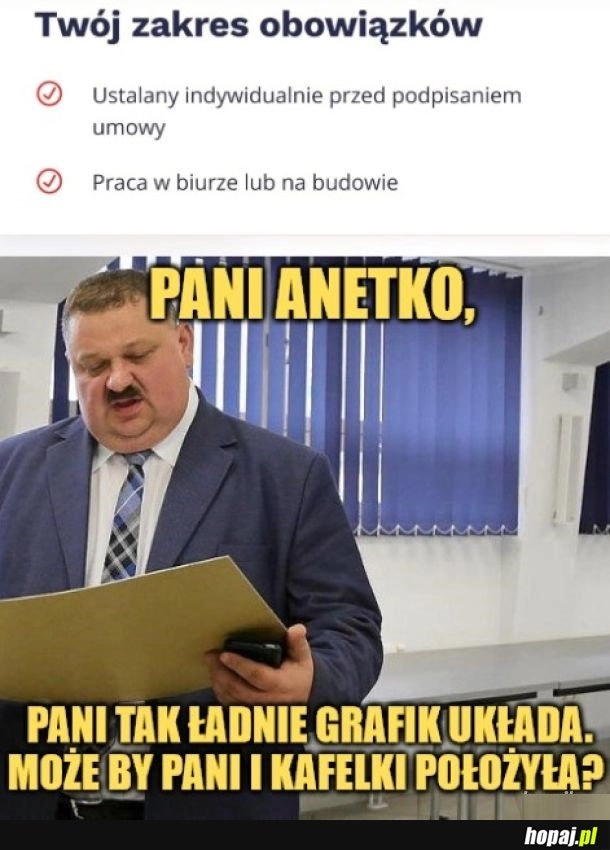 
    Zakres obowiązków Anetki.