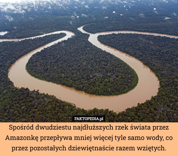 
    Spośród dwudziestu najdłuższych rzek świata przez Amazonkę przepływa mniej