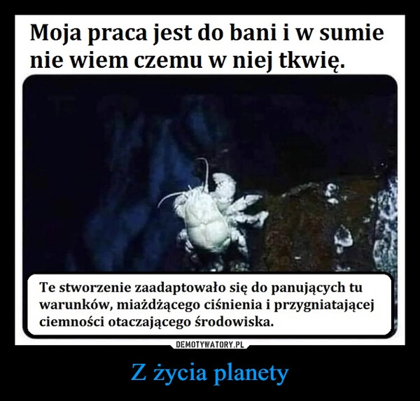 
    Z życia planety