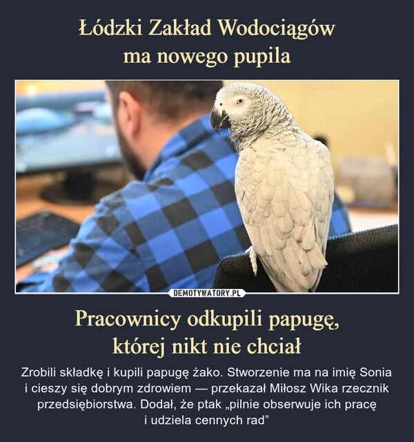 
    Łódzki Zakład Wodociągów
ma nowego pupila Pracownicy odkupili papugę,
której nikt nie chciał 