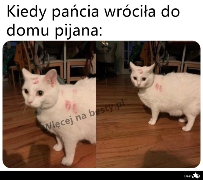 
    Jakaś wylewna się zrobiła 