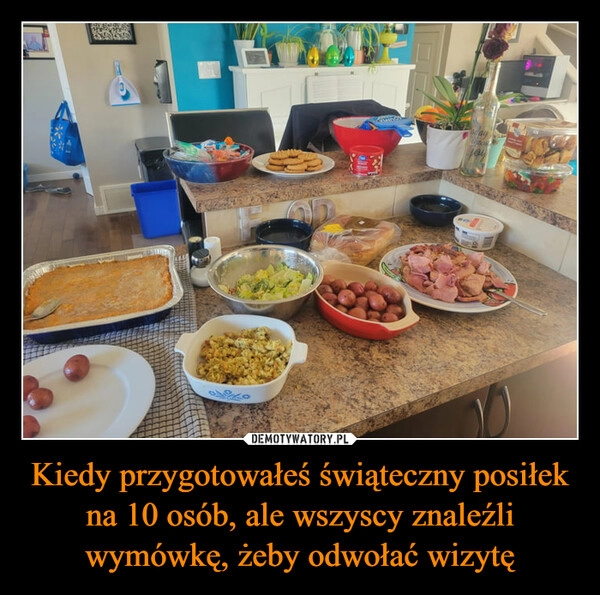 
    Kiedy przygotowałeś świąteczny posiłek na 10 osób, ale wszyscy znaleźli wymówkę, żeby odwołać wizytę