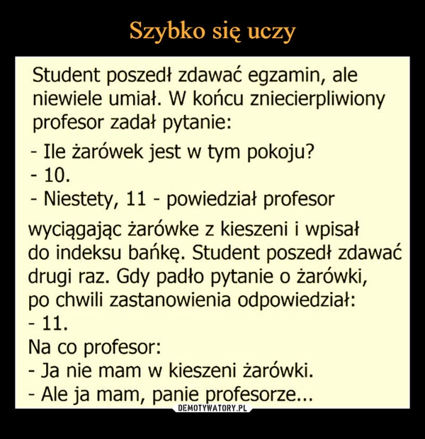 
    Szybko się uczy