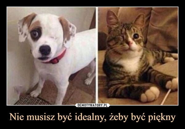 
    Nie musisz być idealny, żeby być piękny