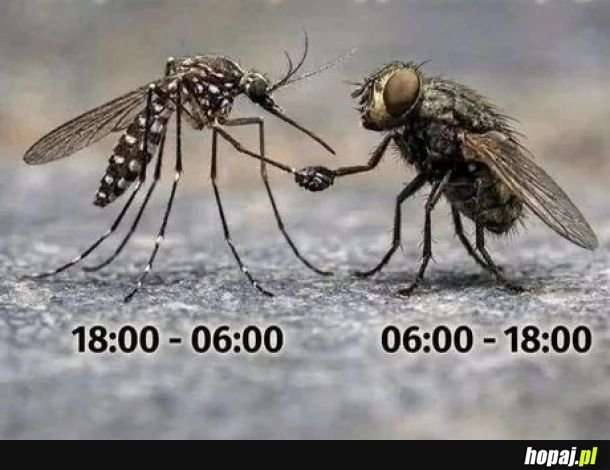 
    Druga zmiana
