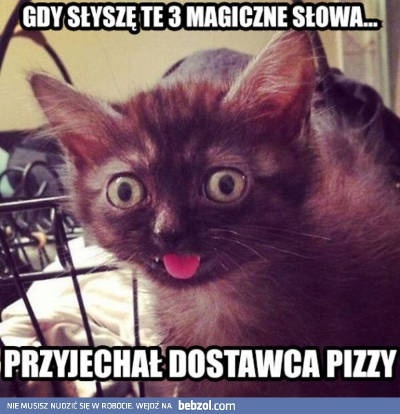 
    Magiczne słowa