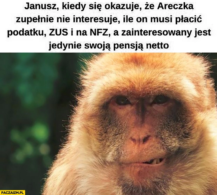 
    Małpa Janusz kiedy okazuje się, że Areczka nie interesuje ile musi płacić podatku ZUSu, na NFZ, a interesuje go tylko pensja netto