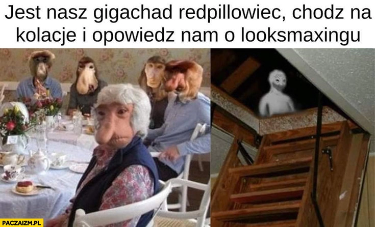 
    Jest nasz gigachad redpillowiec chodź na kolację i opowiedz nam o looksmaxingu