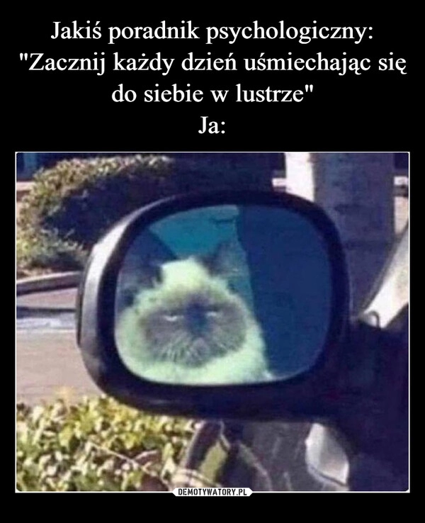 
    
Jakiś poradnik psychologiczny: "Zacznij każdy dzień uśmiechając się do siebie w lustrze"
Ja: 