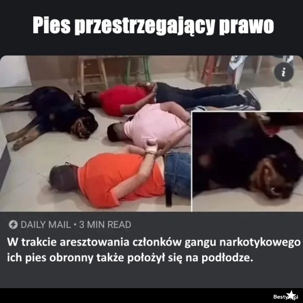 
    Jak wszyscy to wszyscy 