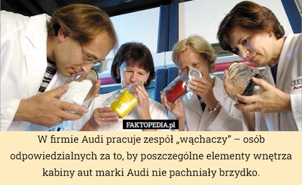 
    W firmie Audi pracuje zespół „wąchaczy” – osób odpowiedzialnych za to, by