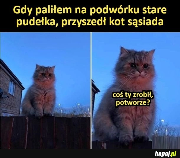 
    Coś ty zrobił...