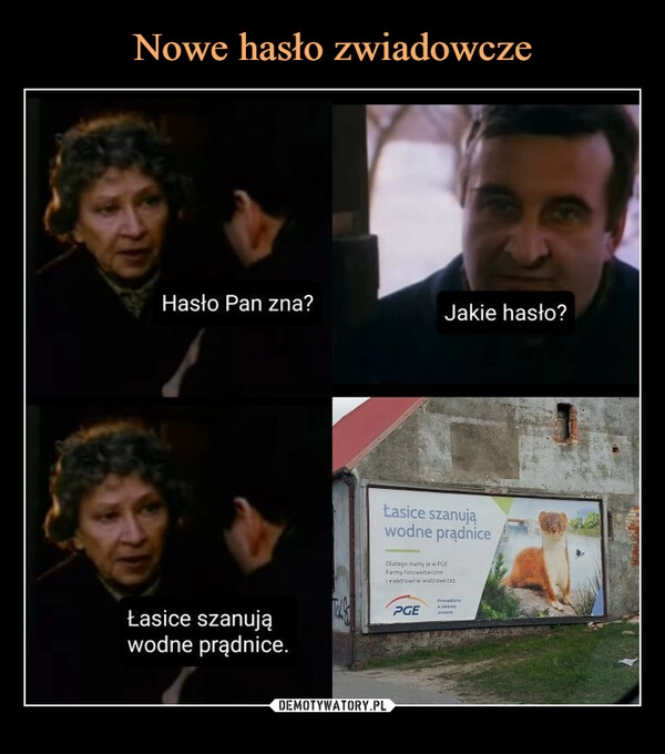 
    Nowe hasło zwiadowcze