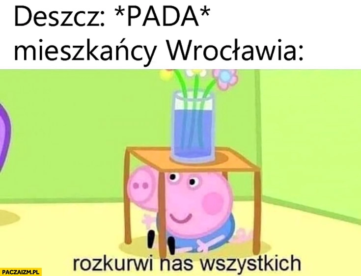 
    Deszcz pada, mieszkańcy Wrocławia rozkurni nasz wszystkich świnka Pepa