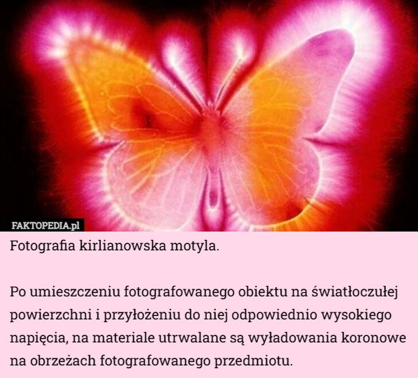 
    Fotografia kirlianowska motyla. Po umieszczeniu fotografowanego obiektu...