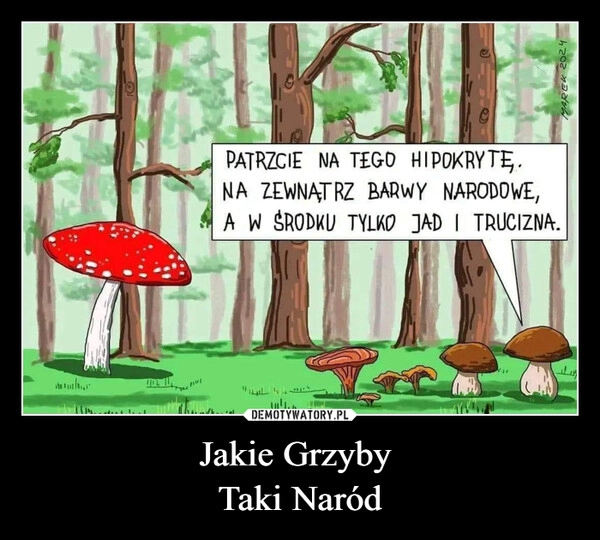 
    Jakie Grzyby 
Taki Naród