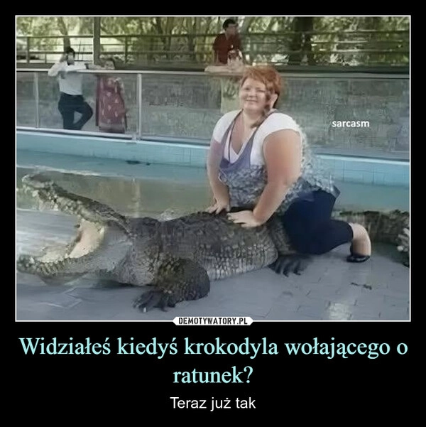 
    Widziałeś kiedyś krokodyla wołającego o ratunek?