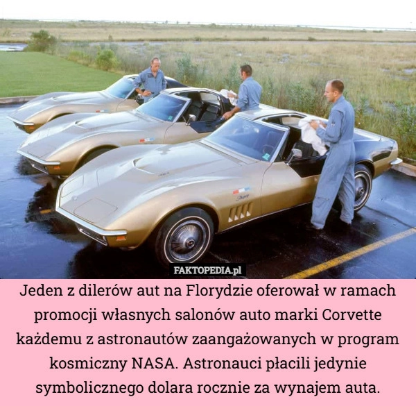 
    Jeden z dilerów aut na Florydzie oferował w ramach promocji własnych salonów