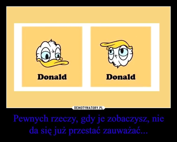 
    Pewnych rzeczy, gdy je zobaczysz, nie da się już przestać zauważać...