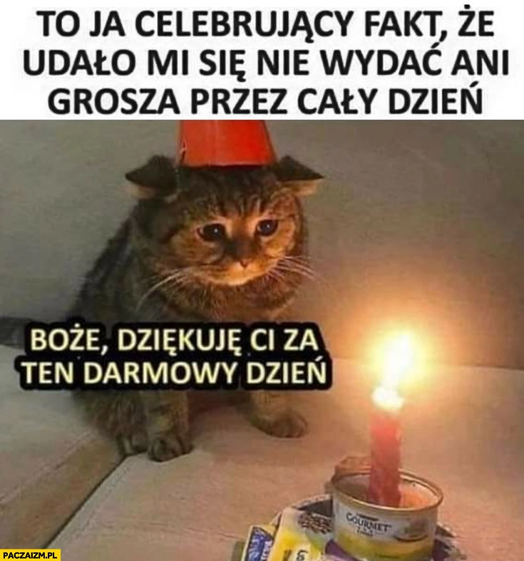 
    Kot to ja celebrujący fakt, że udało mi się nie wydać ani grosza przez cały dzień Boże dziękuje ci za ten darmowy dzień
