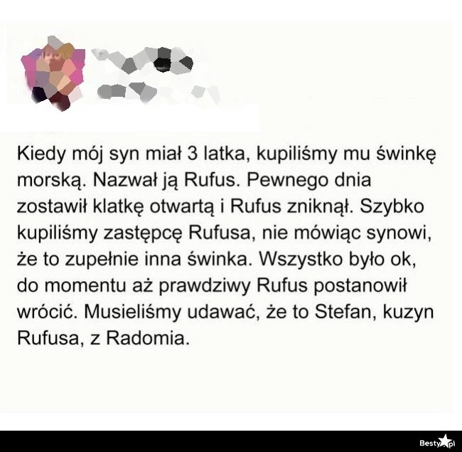 
    Zaginiony Rufus 