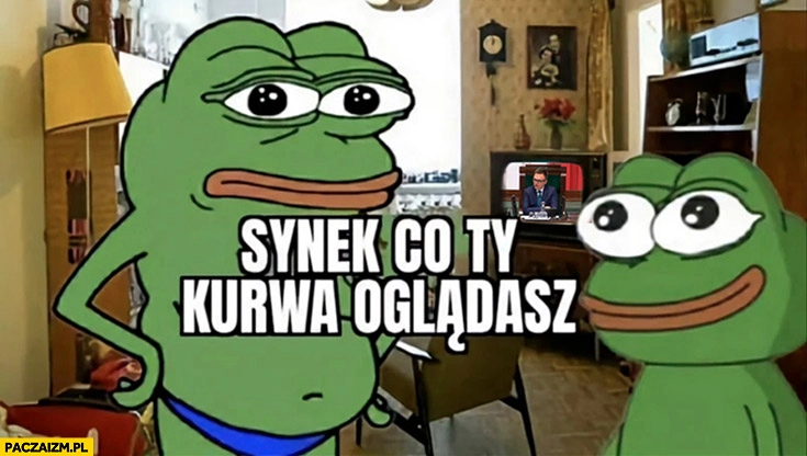 
    Synek co to oglądasz? Hołownia posiedzenie sejmu żaba Pepe